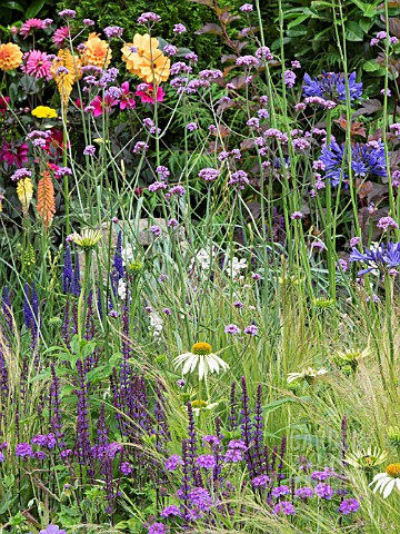 COTTAGE_GARDEN_PLANTING