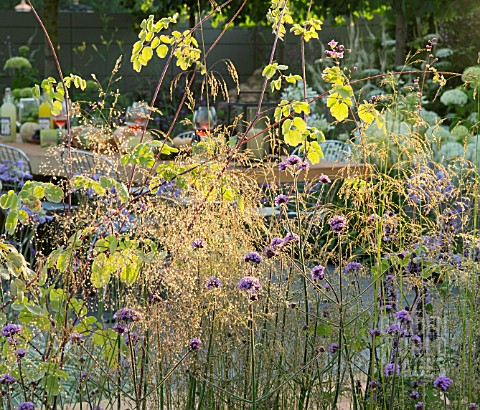 BACKLIT_GRASSES_AND_MEADOW_PLANTING_ON_THE_VESTRA_WEALTHS_VISTA_GARDEN_DESIGNED_BY_PAUL_MARTIN_WITH_