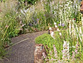 PLANTING AROUND THE PATH ON THE MACMILLAN LEGACY GARDEN DESIGNED BY REBECCA GOVIER