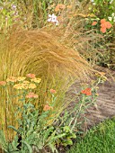 ACHILLEA TERRACOTTA AND GRASSES