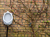 GARDENERS TOILET