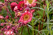 GEUM BELL BANK