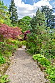 SPRING GARDEN PATH WITH ACER PALMATUM