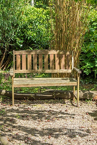 WOODEN_GARDEN_BENCH_ON_A_GRAVEL_PATH