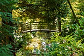 BRIDGE OVER THE STREAM AT BODENHAM ARBORETUM WORCESTERSHIRE