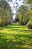 VISTA TOWARDS THE  GAZEBO AT BODENHAM ARBORETUM WORCESTERSHIRE