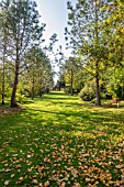 VISTA TOWARDS THE  GAZEBO AT BODENHAM ARBORETUM WORCESTERSHIRE