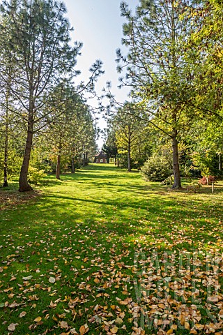 VISTA_TOWARDS_THE__GAZEBO_AT_BODENHAM_ARBORETUM_WORCESTERSHIRE