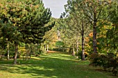 VISTA FROM THE  GAZEBO AT BODENHAM ARBORETUM WORCESTERSHIRE