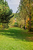 VISTA FROM THE  GAZEBO AT BODENHAM ARBORETUM WORCESTERSHIRE