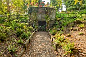 THE FERNERY AT BODENHAM ARBORETUM WORCESTERSHIRE