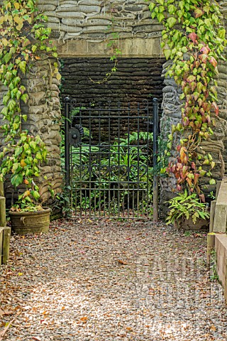 THE_FERNERY_AT_BODENHAM_ARBORETUM_WORCESTERSHIRE