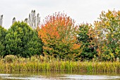 ACRES ACROSS THE LAKE AT BODENHAM ARBORETUM WORCESTERSHIRE