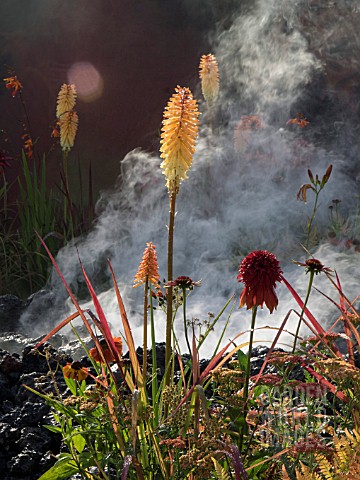 CONCEPTUAL_GARDEN_WRATH_ERUPTION_OF_UNHEALED_ANGER__DESIGNED_AND_PLANTED_BY_NILUFER_DANIS